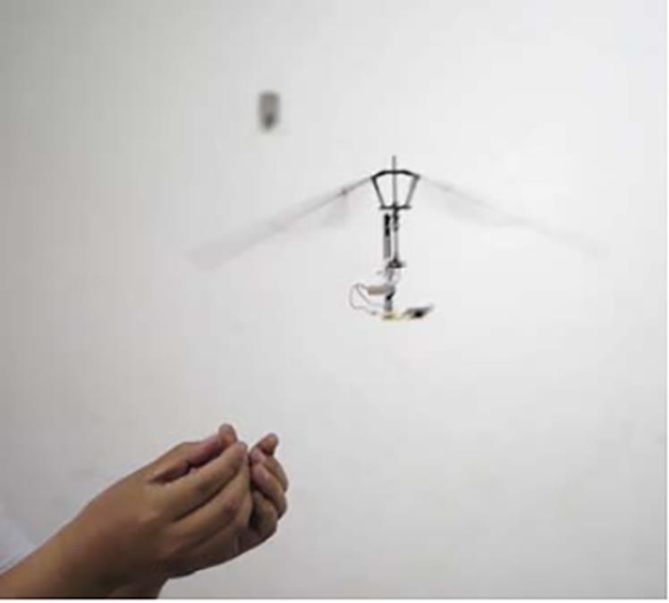 width=163.3,height=147.05