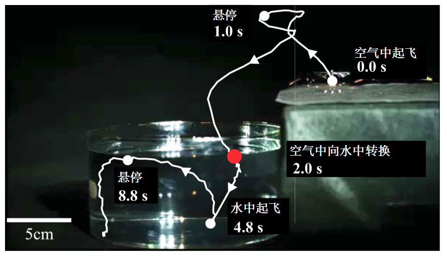 width=194.05,height=112.1